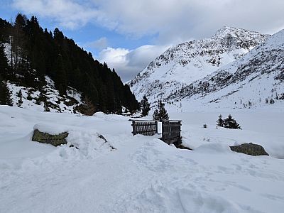 Nach einer kleinen Brücke wird der Weg schmäler