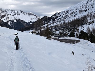 Knapp 5 Kilometer lang ist die Runde und endet dann am Parkplatz der Staller Alm