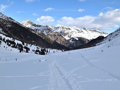 Der Ausblick zurück ins Defereggental