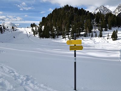 ... wir bleiben aber auf der Straße gerade aus und wandern weiter zum Staller Sattel