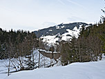 Die nächste Stunde begleiten wir den Wieseneggbach