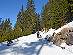 ...leitet uns der Forstweg zügig bergauf
