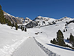 Den Wald lassen wir nun endgügltig hinter uns