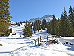 Im Kaserillbachtal