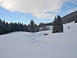 Tief winterliches Almgelände