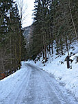 Wir erreichen den Bergwald...