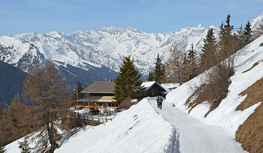 Prantneralm - Rodeln bei Sterzing