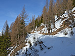 Langsam lichtet sich der Wald