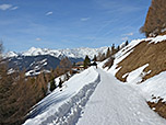 Der Weg leitet uns hinunter zur Prantneralm