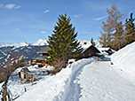 Nach einer Stunde haben wir die Prantneralm erreicht