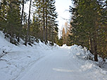 ...über den breite Naturrodelbahn