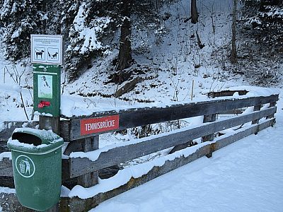 Auf einer kleinen Holzbrücke überqueren wir den Tuxbach