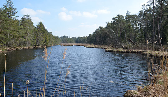 Entenweiherweg - Wanderung von Rott am Inn