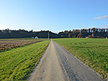 ...und biegen kurz darauf in einen Feldweg ein