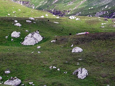 ... mit den Hirten ins Gespräch.