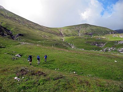 Über Almwiesen steigen wir weiter auf