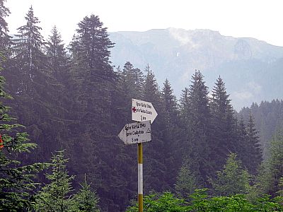 Hier halten wir uns rechts nach Nordosten und folgen weiter dem roten Kreuz 