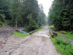 ... starten wir auf einer breiten Forststraße nach Norden.