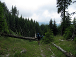 Wir steigen im lichten Wald wieder ein paar Meter ab