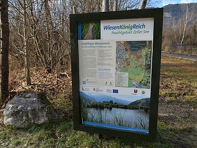 Auf Informationstafeln erfahren wir Wissenswertes über das Feuchtgebiet im Süden des Sees