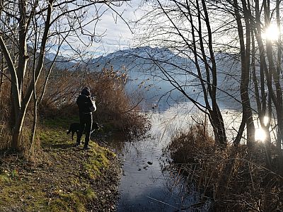 Eine malerische Ecke am Nordufer des Zeller See