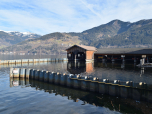 Bootshäuser am Südufer