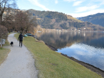 Der Uferweg an der Nordseite des Zeller Sees