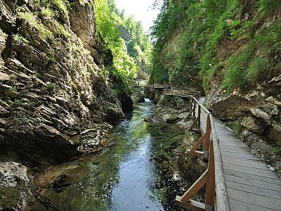 Malerisch bekleidet das Grün die Felsen