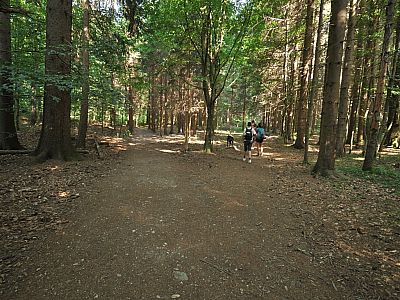 Hier halten wir uns rechts