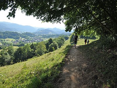 Leicht bergab umrunden wir weiter den Hom und spazieren anschließend ...