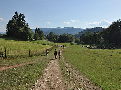 ... zurück zu unserem Parkplatz auf der Südwestseite des Berges.