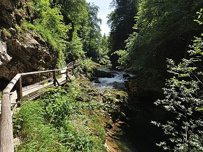 Bequem führen uns die Holzstege durch die malerische Klamm