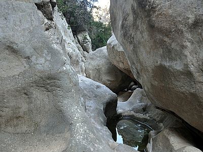 Das Wasser hat in den ausgewaschenen Felsen ...