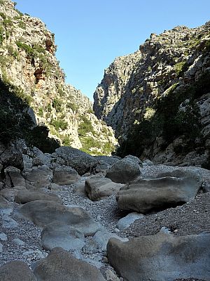 Der Weg bleibt abwechslungsreich
