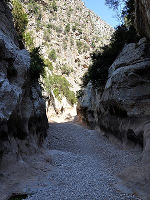Andere Stellen wirken hingegen wie angelegte Wege