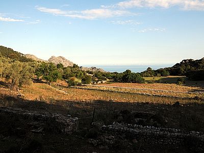 Rechts führt der Weg an der Wiese vorbei