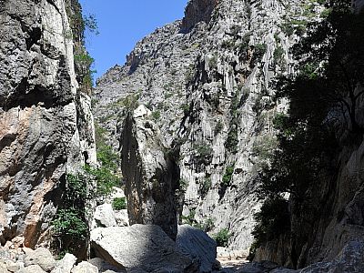 Ein markanter Fels im unteren Teil der Schlucht