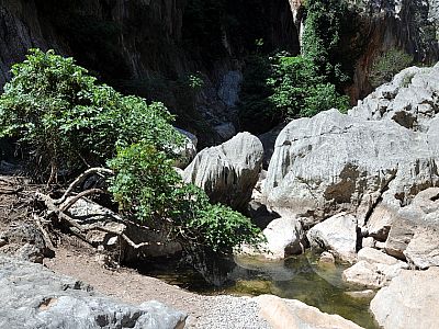... können aber an unserem Tag allesamt ... 