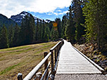 Nach der Alm spazieren über einen gut ausgebauten Weg