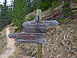 Wir bleiben am Weg Nr. 35