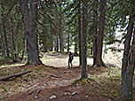 ...und schlagen den Waldpfad Richtung Dusleralm ein