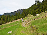 Ein Wiesenpfad...