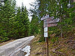 Schließlich treffen wir kurz vor der Zanser Alm auf einen breiten Forstweg...