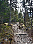 Der Weg bringt uns...