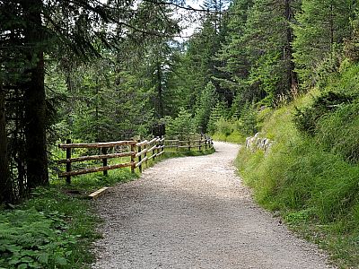 ... spazieren über den breiten Forstweg gemächlich bergab.