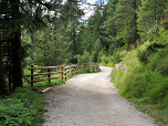 ... spazieren über den breiten Forstweg gemächlich bergab.
