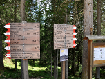 Wir wählen den Weg 3 zum Wasserfall ...