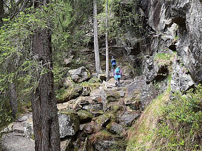 Über einen Steig...