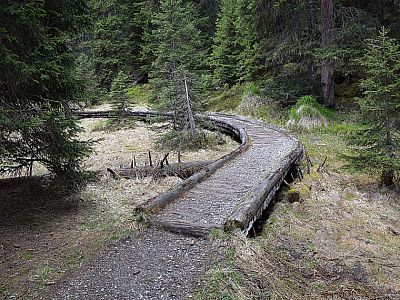 Auf einem Steg überqueren wir die morastigen Wiesen
