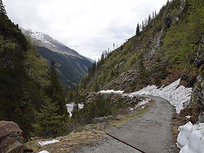 Auf der Südseite des Bachs wandern wir zurück